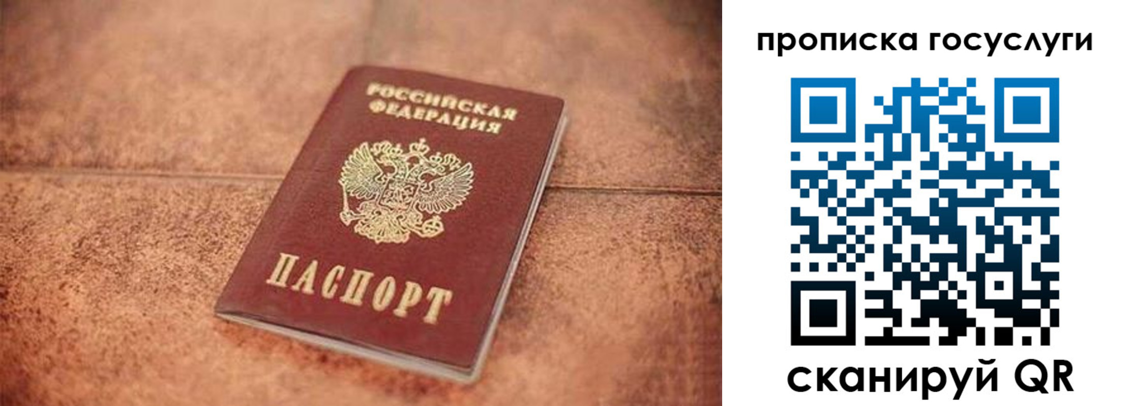 прописка законно в Дубовке